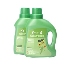 水培植物光靠水就能活？应该怎么添加营养？