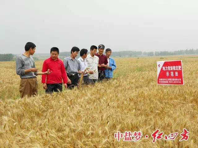 红四方稳定肥料，为农民增收，让经销商获利