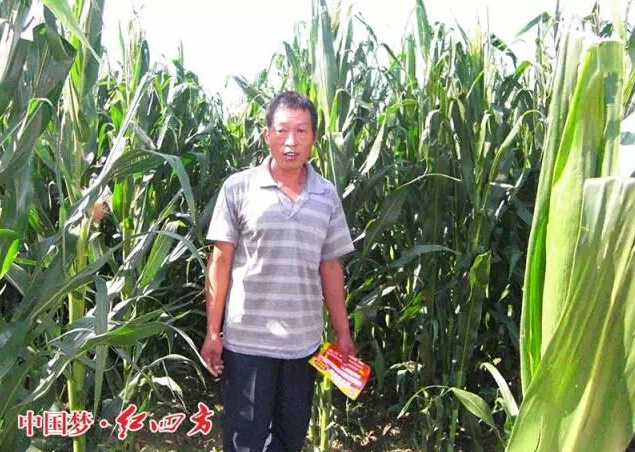 内蒙古通辽市玉米抗旱肥让农户乐开花.jpg