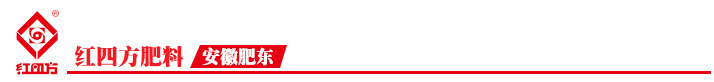 红四方肥料(安徽肥东).jpg
