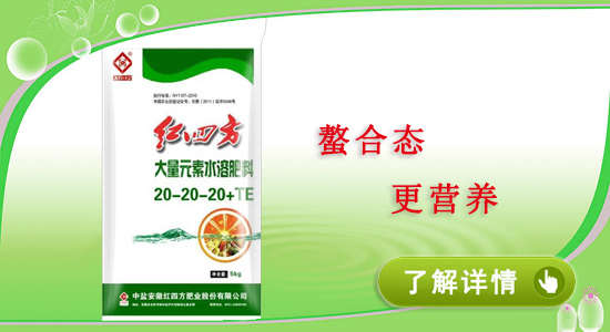 红四方大棚专用水溶性肥料20-20-20+TE 红四方复合肥您用肥·我用心