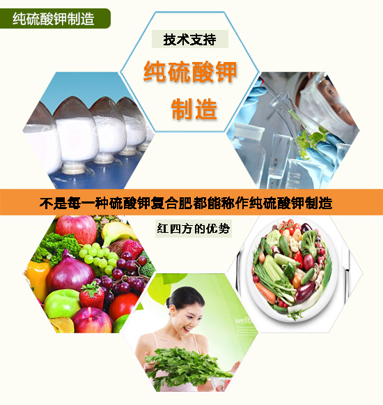 纯硫酸钾制造.jpg