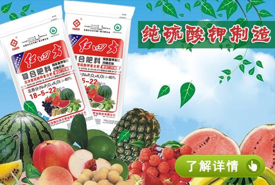 红四方硫酸钾复合肥双硫基含硝态氮45%(18-5-22) 红四方硫酸钾复合肥双硫基含硝态氮45%(18-5-22)