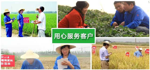 红四方复合肥厂家农化团队用心服务每一位客户 红四方复合肥厂家农化团队用心服务每一位客户