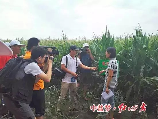 大家争相采访杨帆