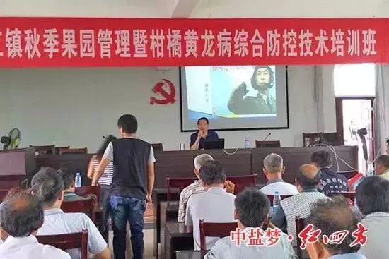 红四方江西中心经理罗玉国为果农们揭开了柑橘高产的秘诀 红四方江西中心经理罗玉国为果农们揭开了柑橘高产的秘诀