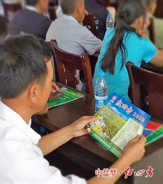 研究起红四方复合肥产品单页 研究起红四方复合肥产品单页