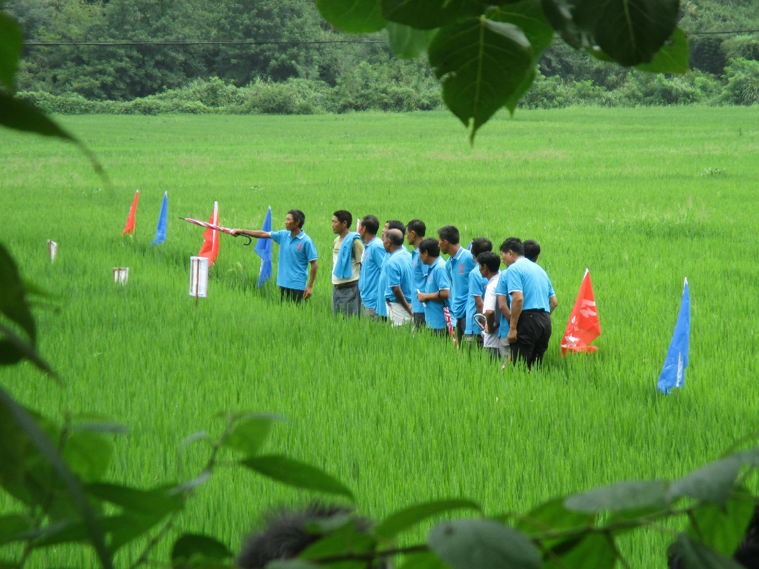 红四方组织的&ldquo;全国农技推广中心-中盐红四方新型肥料观摩总结会&rdquo;在湖南省衡东县杨桥镇湖田村召开