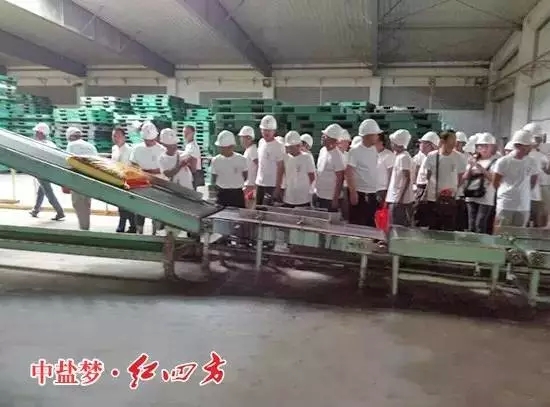 参观复合肥生产车间图. 参观复合肥生产车间图.