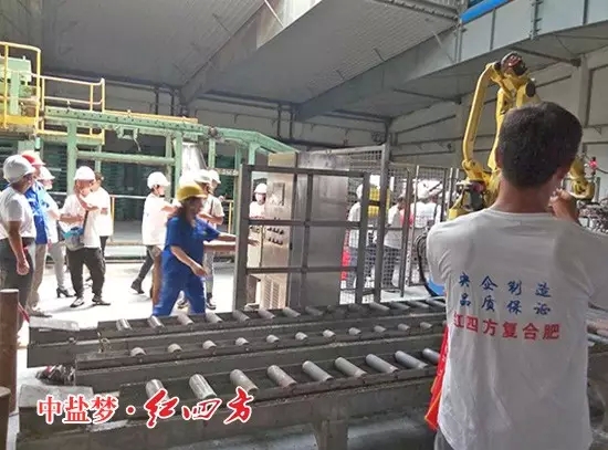 参观复合肥生产车间2 参观复合肥生产车间2