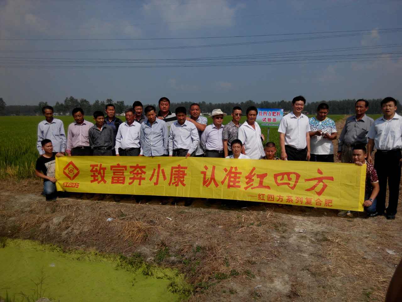 致富奔小康,认准红四方,金湖水稻观摩会现场。 致富奔小康,认准红四方,金湖水稻观摩会现场。