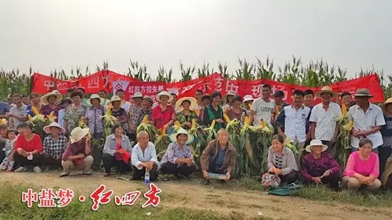 有一种喜悦,叫我们在红四方控失肥玉米示范田一起过中秋! 有一种喜悦,叫我们在红四方控失肥玉米示范田一起过中秋!
