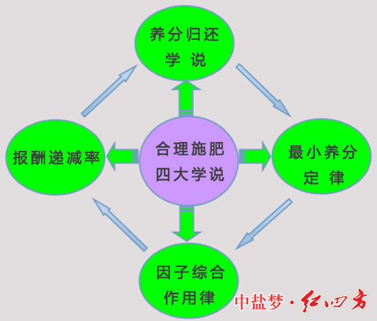作物种植合理施肥四大学说 作物种植合理施肥四大学说