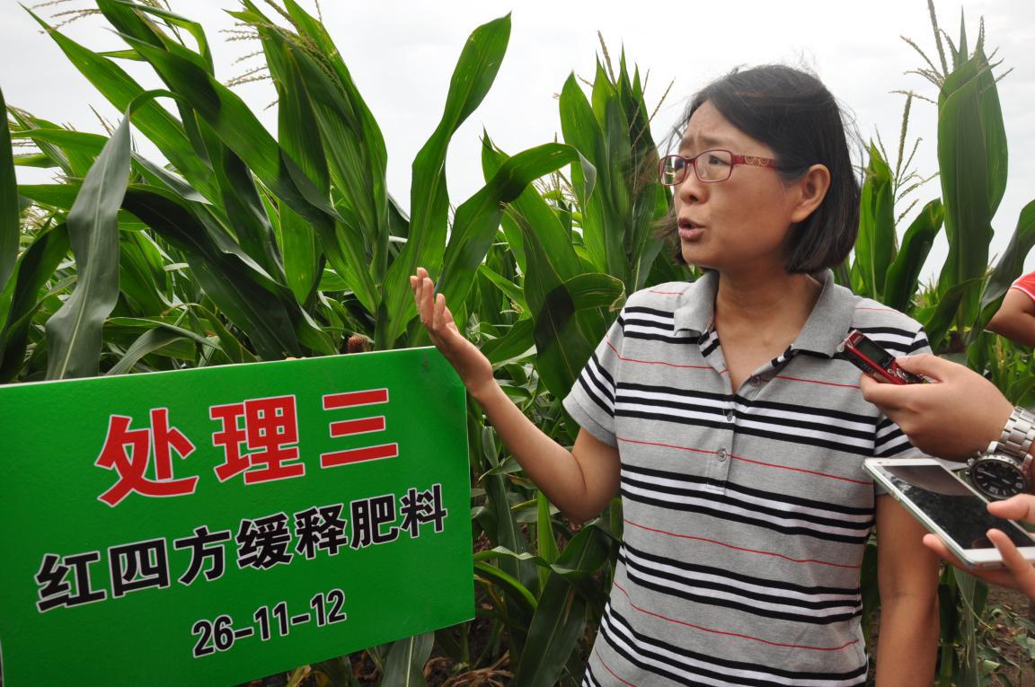 三大作物推进减肥增效行动,践行化肥施用量零增长行动 三大作物推进减肥增效行动,践行化肥施用量零增长行动