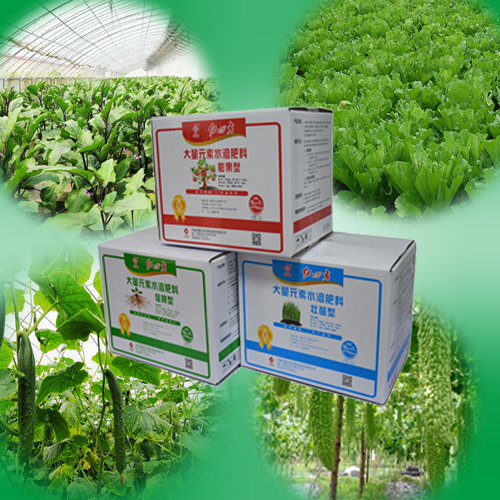 红四方氨基酸水溶肥料料适宜蔬菜大棚 红四方氨基酸水溶肥料料适宜蔬菜大棚