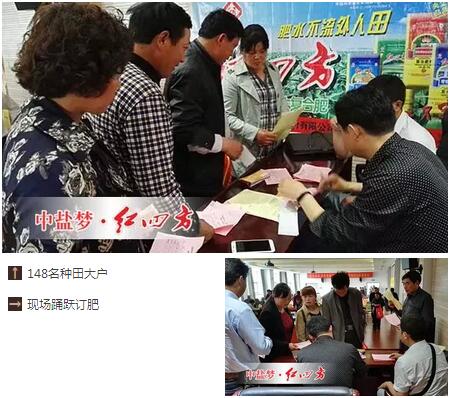 购买玉米控释肥现场 购买玉米控释肥现场