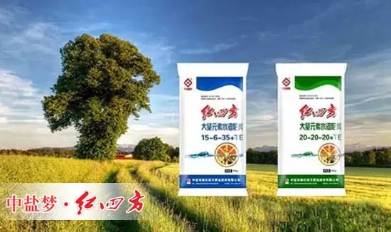 水溶肥高效环保 水溶肥高效环保