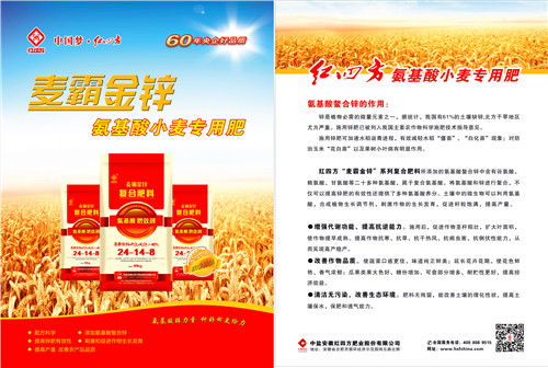 红四方麦霸金锌小麦专用肥单彩页 红四方麦霸金锌小麦专用肥单彩页