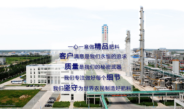 中盐红四方美福复合肥品牌生产区 中盐红四方美福复合肥品牌生产区