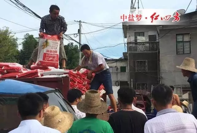 中盐红四方“送肥下乡”送到龙凤村贫困群众心坎上 中盐红四方“送肥下乡”送到龙凤村贫困群众心坎上