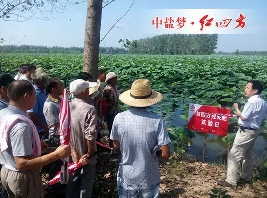 好产品，大家都喜欢！