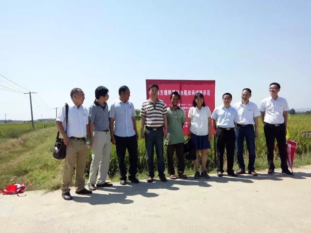 31个实验点,真实数据验证产品效果 31个实验点,真实数据验证产品效果