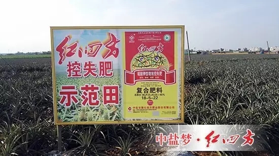我们决定对高塔肥料南方包装袋的缝合方式进行改进,目前客户反馈的信息非常良好,连带着销售积极性都增强许多。 我们决定对高塔肥料南方包装袋的缝合方式进行改进,目前客户反馈的信息非常良好,连带着销售积极性都增强许多。