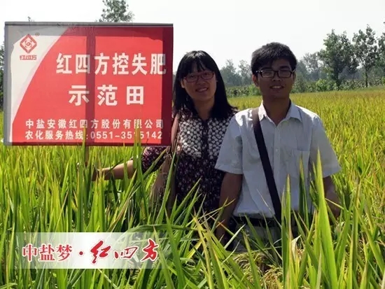 那一年，我们刚到红四方复合肥销售大家庭