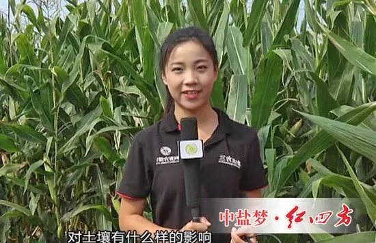 民以食为天,食以土为本,在很多人的印象里,肥料往往会引起土壤退化等一系列问题,那么,红四方控失肥对土壤有什么样的影响呢? 民以食为天,食以土为本,在很多人的印象里,肥料往往会引起土壤退化等一系列问题,那么,红四方控失肥对土壤有什么样的影响呢?