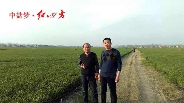 越冬作物施好腊肥 越冬作物施好腊肥