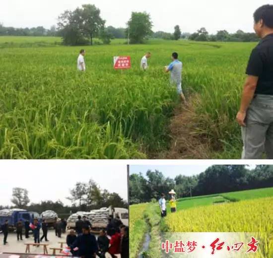 每当我们走在田间地头,看到一些农民用电动车或其他车子驮着红四方肥料奔向田间施肥 每当我们走在田间地头,看到一些农民用电动车或其他车子驮着红四方肥料奔向田间施肥