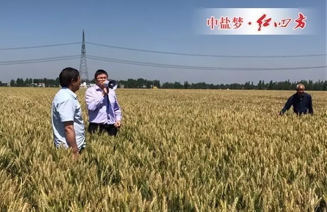 夏姚生讲解控失肥&ldquo;不流失&rdquo;原理