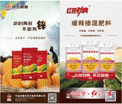 新推出的劲典产品 新推出的劲典产品