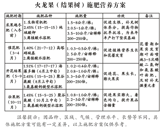 火龙果施肥方案