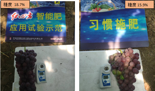 1686536394608.jpg