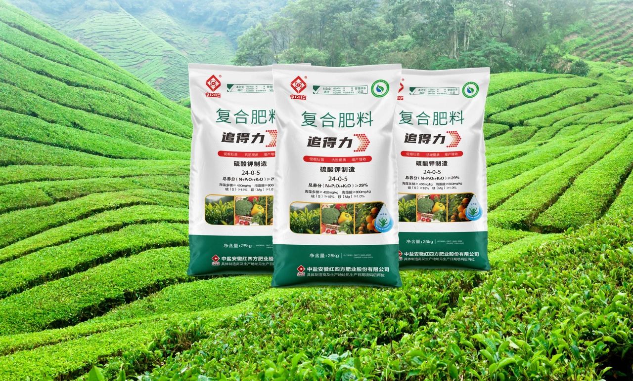 微信图片_20240319135954.jpg 微信图片_20240319135954.jpg